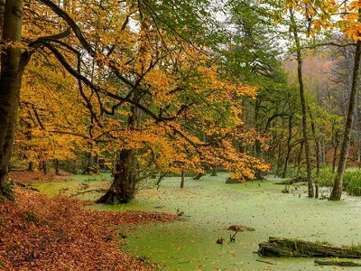 جاهای دیدنی کلاردشت