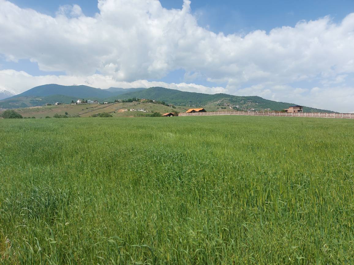 زمین فروشی کلاردشت